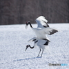 春の兆しー３