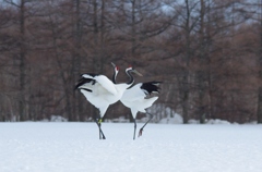 熱い思い　－１０