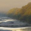 秋の音羽橋