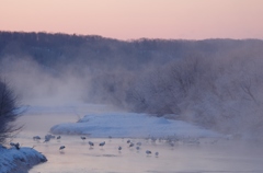 鶴居村の朝　－３