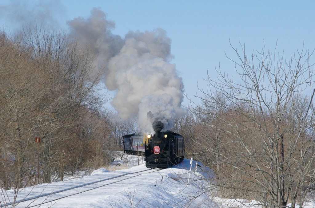 IMGP4003