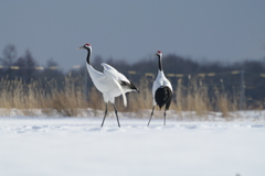 恥ずかしいけど