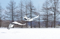 飛び立ち　－２