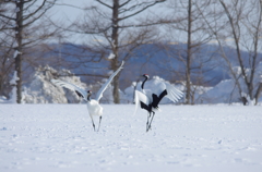 電線がジャマ　－２