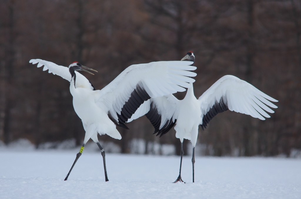 熱い思い　－２