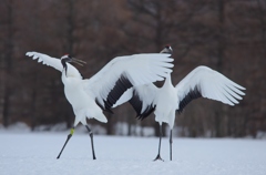 熱い思い　－２