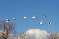 冬の空