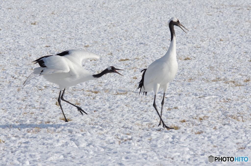 もっと遊んでよ=