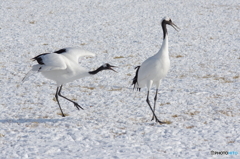 もっと遊んでよ=