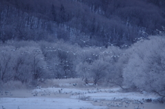 音羽橋の朝　－２
