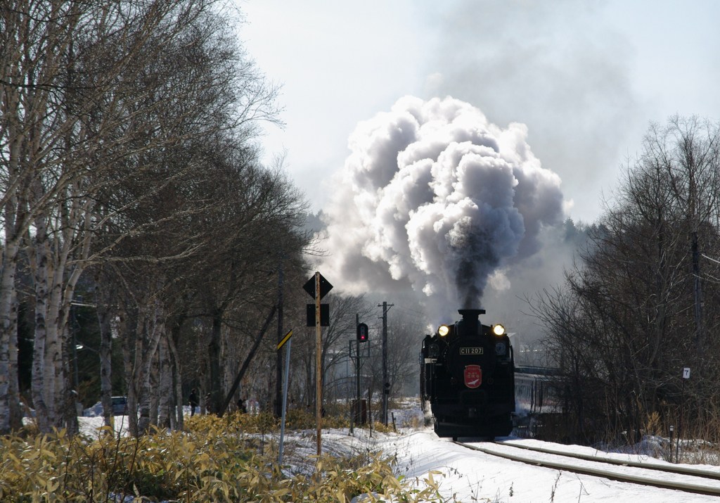 ｃ１１２０７