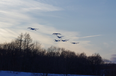 鶴居村の夕景ー２