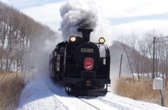 Ｃ１１２０７