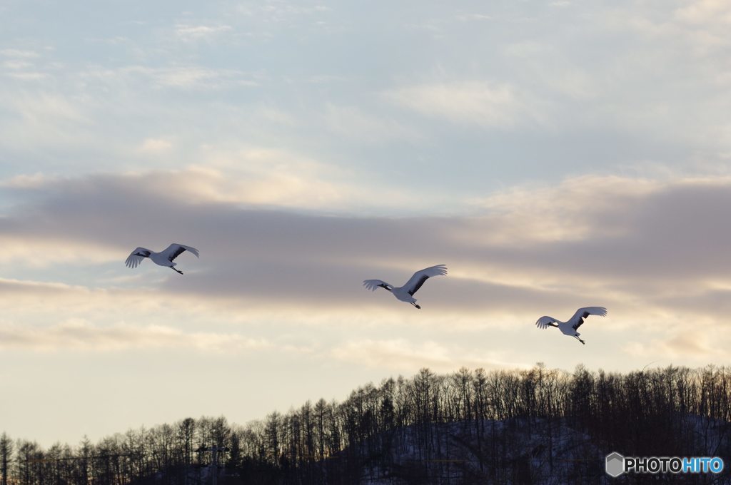 鶴居村の空