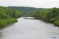 中州徹怯中　（音羽橋）