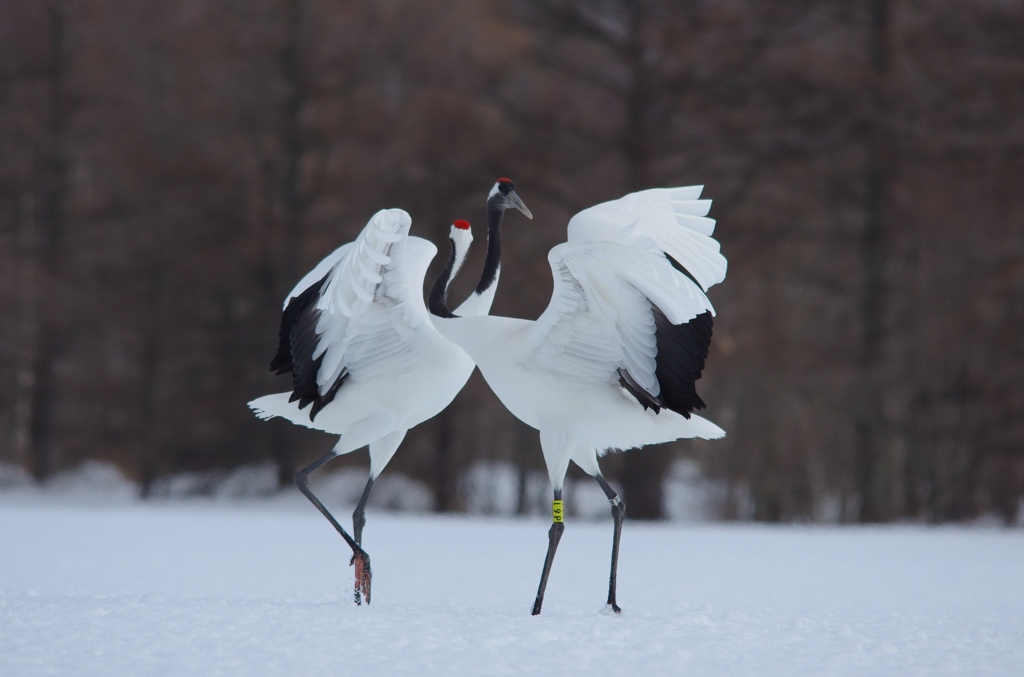 熱い思い　－１