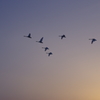 夕暮れ