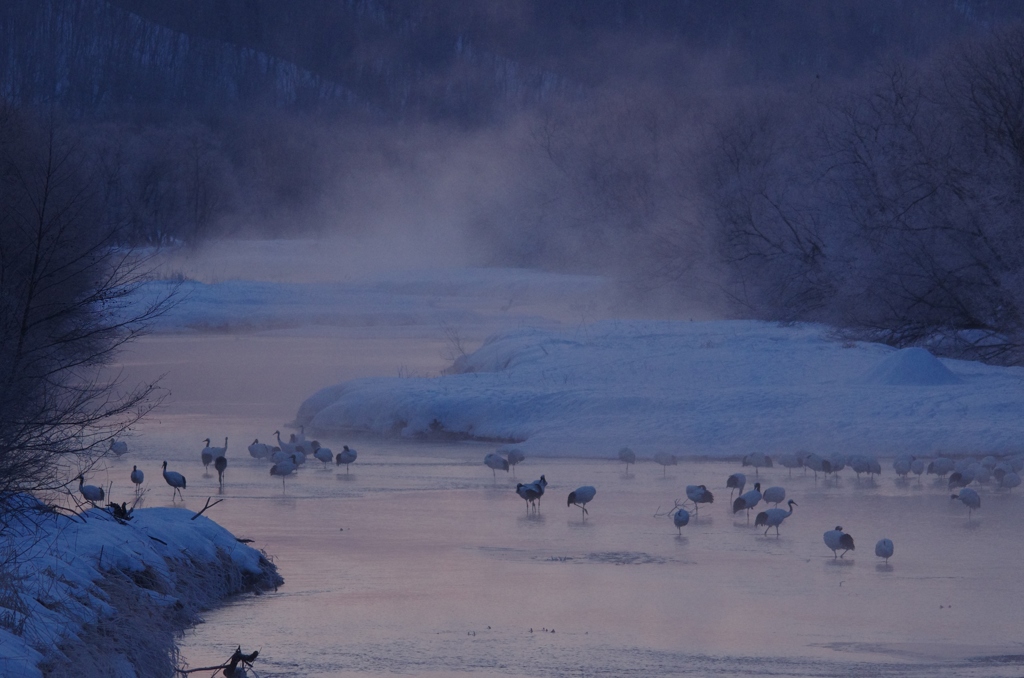 鶴居村の朝　－２