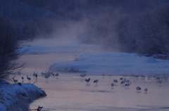 鶴居村の朝　－２