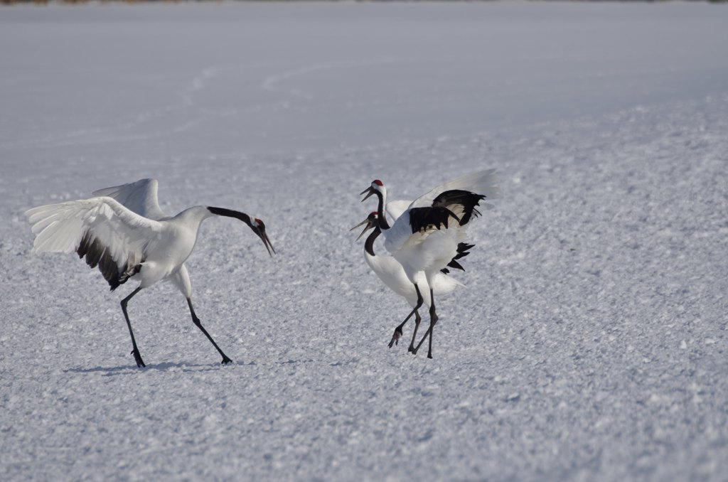俺も入れてくれ