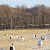 集合