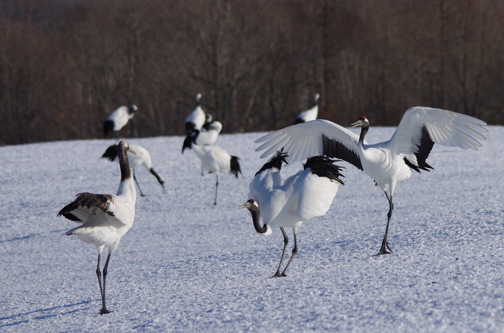子別れの始まり