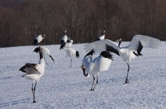 子別れの始まり