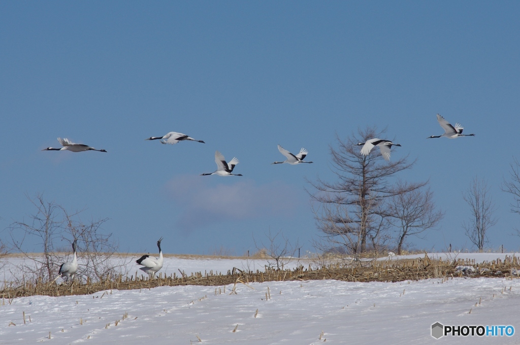 鶴居村の空ー５