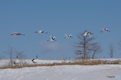 鶴居村の空ー５
