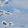 フレム　アウト