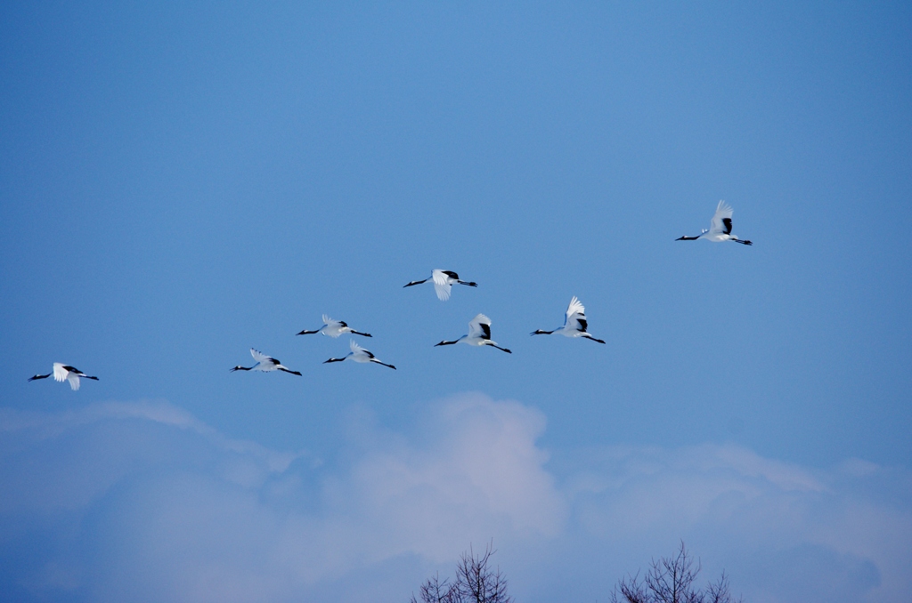 青空