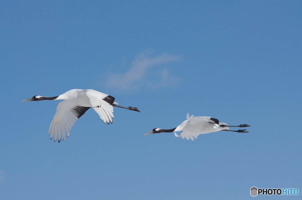 鶴居村の空ー９