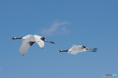 鶴居村の空ー９