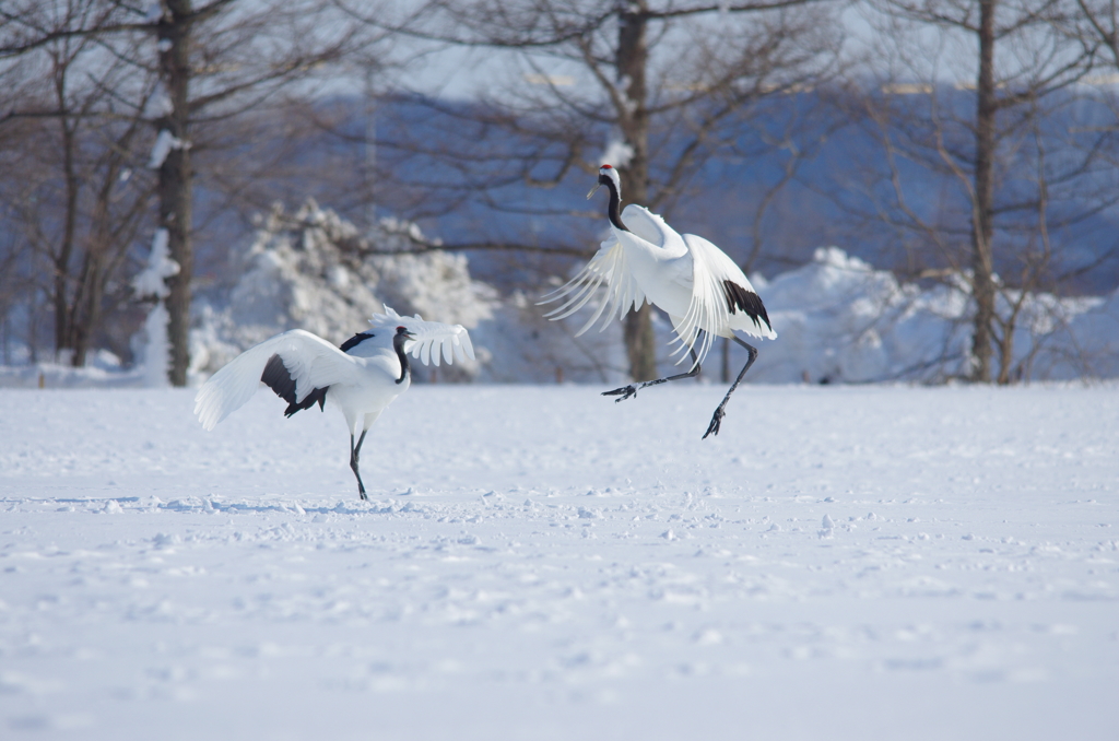 電線がジャマ　－１