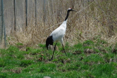 IMGP8028