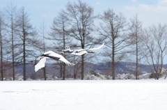 飛び立ち　－４