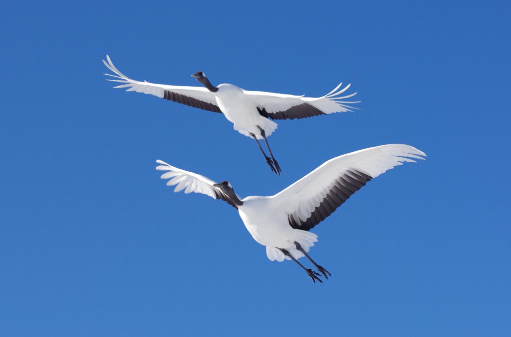 青空