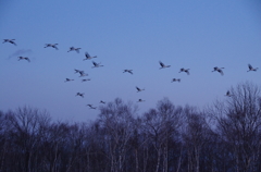 夕闇