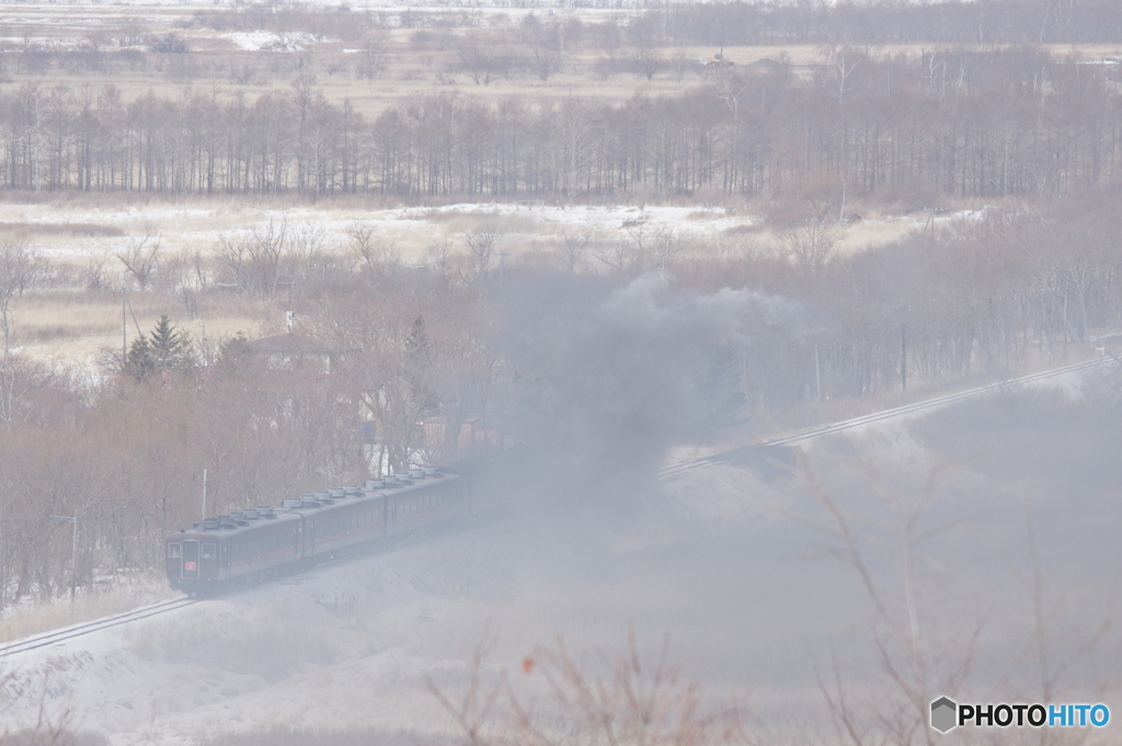 トりトウシ原野（こんな日も）