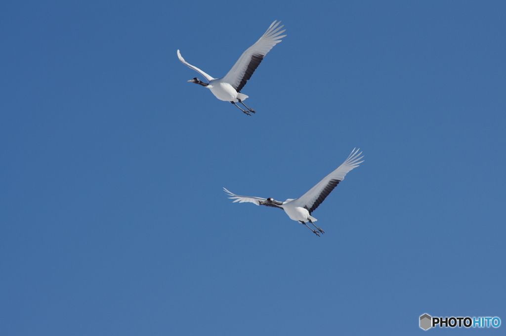 冬空