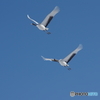 冬空