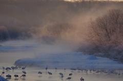 鶴居村の朝　－５