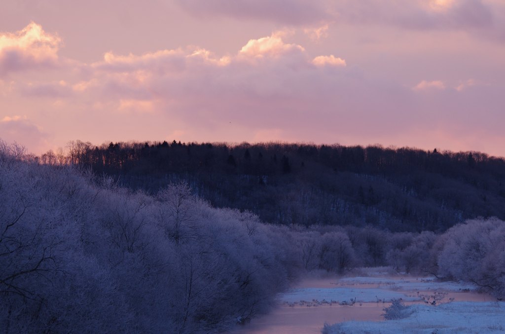 音羽橋の朝　－１