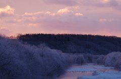 音羽橋の朝　－１