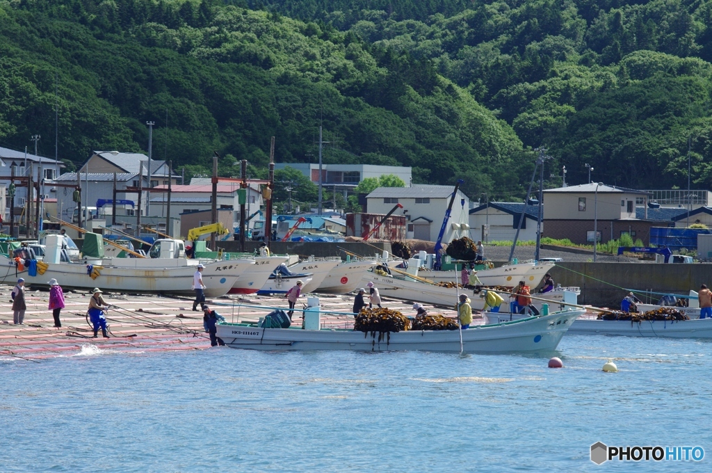 小さな漁港