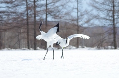 熱いおもい　－５