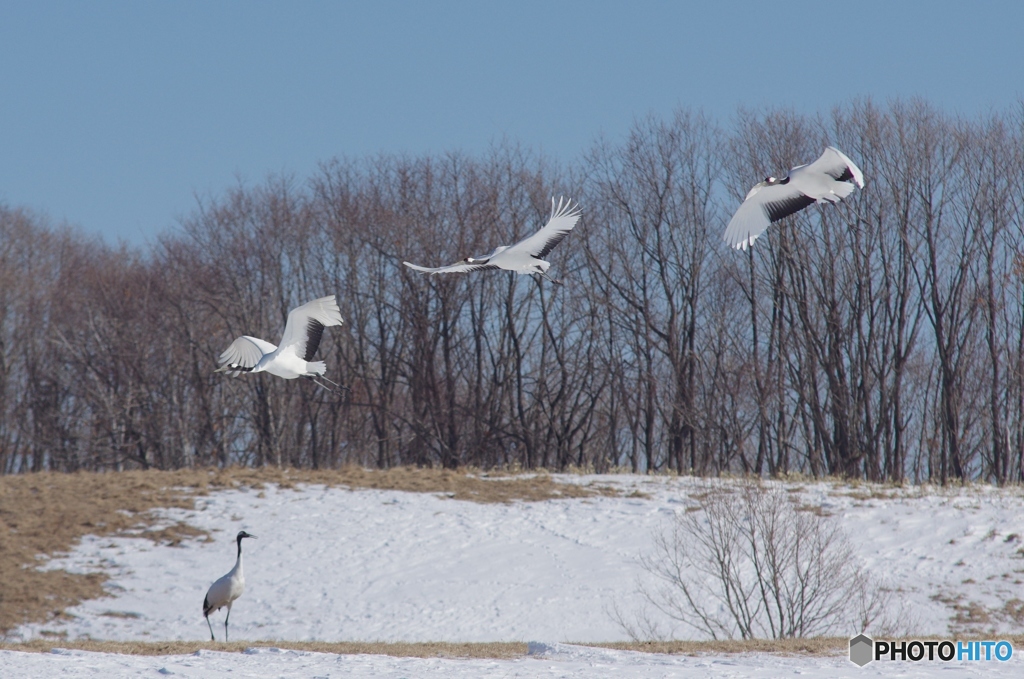 鶴居村の空ー４