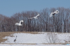 鶴居村の空ー４