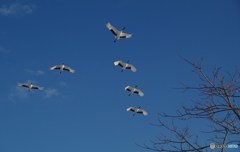 鶴居村の空　－１