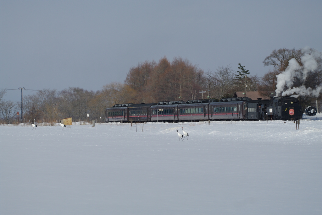 IMGP4724